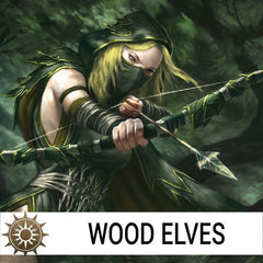 Wood Elves (Used)