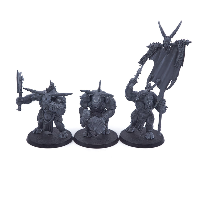 Beasts of Chaos - Bullgors (03078) - Used