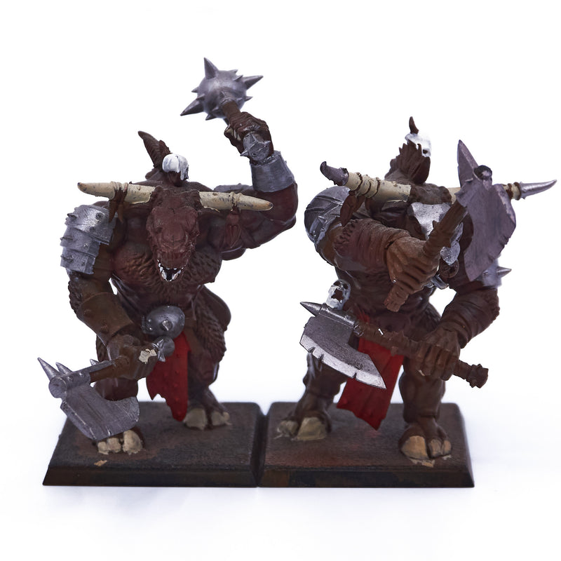 Beasts of Chaos - Bullgors (05260) - Used