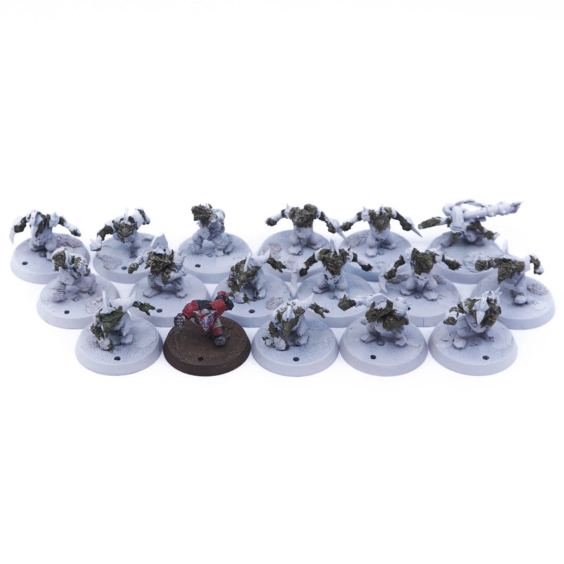 Blood Bowl - Goblin Lot (05444) - Used