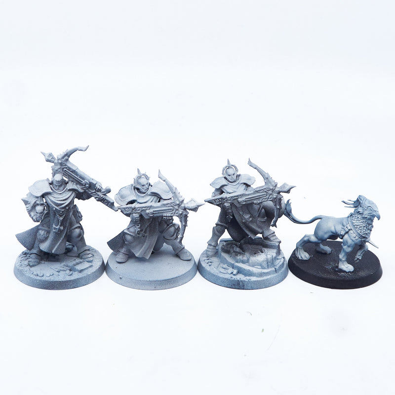 Stormcast Eternals - Castigators with Gryph-hound (02065) - Used