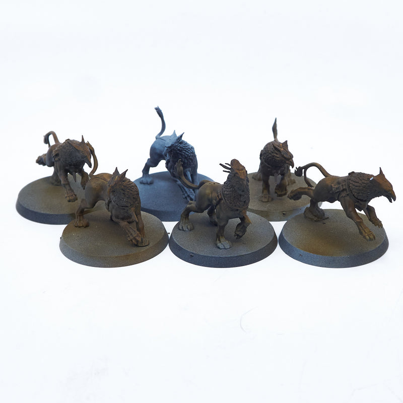 Stormcast Eternals - Gryph-hounds (02086) - Used