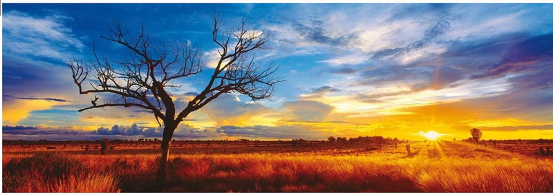 Schmidt Puzzle 1000 Desert Oak at Sunset, Northern Territory, Australia